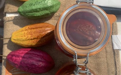 XOCOLATL, l&rsquo;histoire du chocolat à Bayonne
