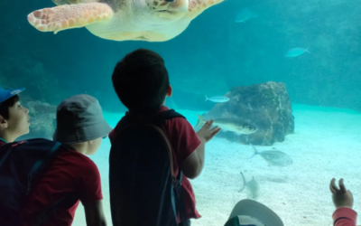 Les maternelles à l’aquarium de Biarritz